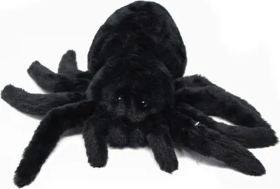 Produktbild von Cornelissen - Kuscheltier -  Vogelspinne