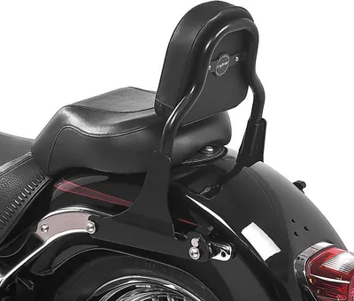 Produktbild von Sissy Bar für Harley Davidson Fat Boy Special/ Lo 10-17 CSS schwarz