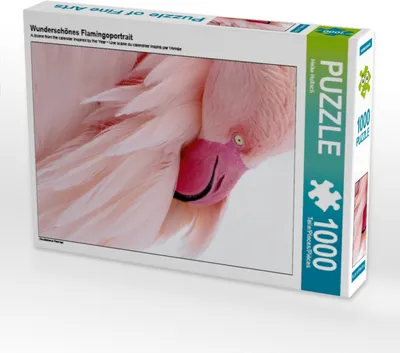 Produktbild von Calvendo Wunderschönes Flamingoportrait 1000 Teile Puzzle quer 640x480mm, Hultsch Heike; 7300058