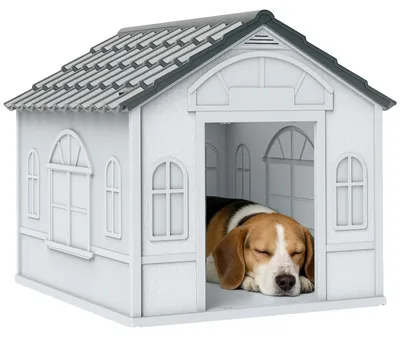 Image de Abri pour chien, design résistant aux intempéries, sol surélevé pour plus de confort, couleur blanche