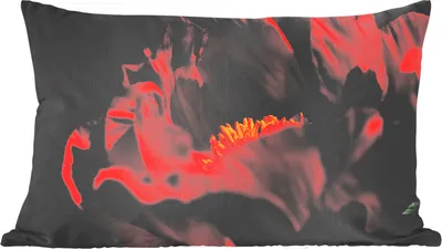 Produktbild von MuchoWow® Zierkissen Sofakissen Wohnzimmer Dekokissen 50x30 cm Ein Bild einer roten Pfingstrose - Wohnzimmerdekoration - Polster mit Photo
