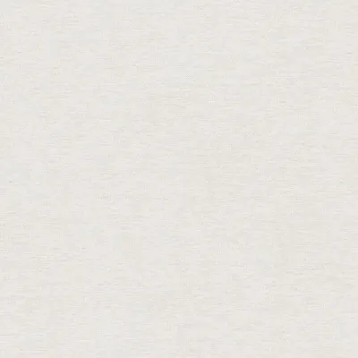 A plain, textured background.