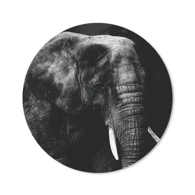 Produktbild von MuchoWow® Mauspad Mousepad Elefant - Tiere - Schwarz - Weiß 30x30 cm - Mousepads - Maus Mat - Pad - Mausunterlage - Tischunterlage - Schreibtischmatten