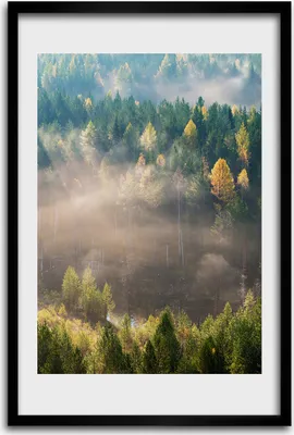 Produktbild von Bild - Bilderrahmen - 40 cm x 60 cm - MDF - Rahmen - Wandkunst - Nebel über dem Wald