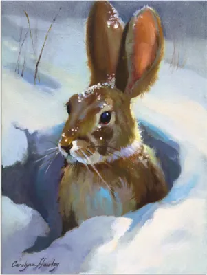 Produktbild von ARTland Wandbild Alu für Innen & Outdoor Schneehase Größe: 45x60 cm