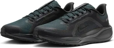 Image de Nike PEGASUS 41 GORE-TEX NOIR 11