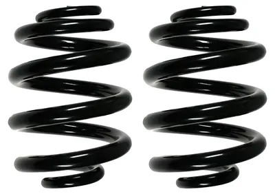 Image de Jeu de ressorts de suspension – Ressort hélicoïdal arrière Ø 165 mm SPIDAN pour divers véhicules