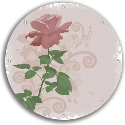 Produktbild von Wallario rundes Outdoor-Poster für Garten oder Balkon, Motiv Rose in Pastellfarben gezeichnet, 30 cm Durchmesser