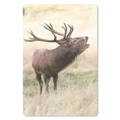 Produktbild von MuchoWow® Mauspad Mousepad Hirsche - Geweihe - Gras 18x27 cm - Mousepads - Maus Mat - Pad - Mausunterlage