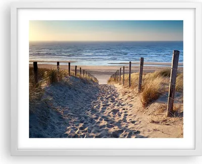 Produktbild von Gerahmtes Poster - Weißer Rahmen - Meer Strand Düne - 50x40 cm - Wand Bild - Wanddeko - Wandbilder - Kunstposter - Wandposter - Bilderrahmen - Bilder - Kunstdruck - Wandbild - P2WAA50x40-3612