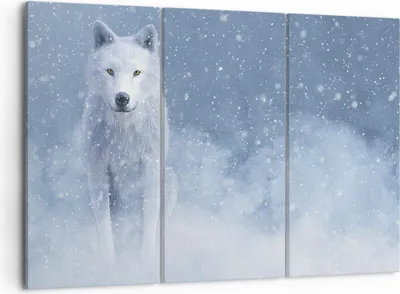 Produktbild von Bild auf Leinwand - Leinwandbild - 3 Teile - Weiß Wolf Schnee - 105x70cm - Wand Bild - Wanddeko - Wandbilder - Leinwanddruck - Bilder - Wanddekoration - Leinwand bilder - Wandbild - CE105x70-5006