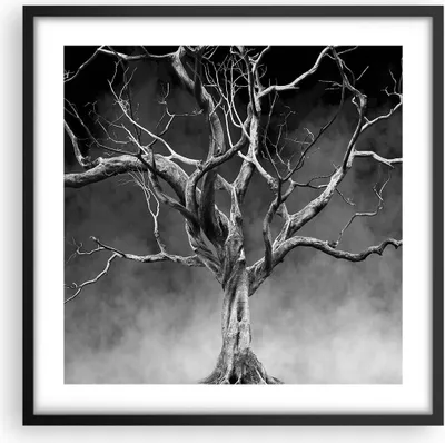 Produktbild von Gerahmtes Poster - Schwarzer Rahmen - Schwarzweiß Äste Rauch - 50x50 cm - Wand Bild - Wanddeko - Wandbilder - Kunstposter - Wandposter - Bilderrahmen - Bilder - Kunstdruck - Wandbild - P2BAC50x50-4346