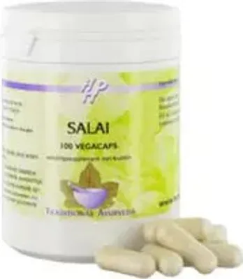 Produktbild von Holisan - Salai boswellia serrata - 100 Kapseln