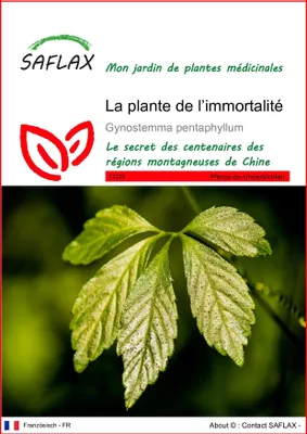 Image de SAFLAX  - La plante de l’immortalité - 30 graines - Gynostemma