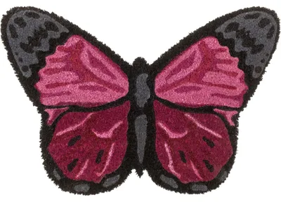 Produktbild von Schmetterling Fußmatte 60x40cm Kokosfaser Schuhabtreter Türvorleger