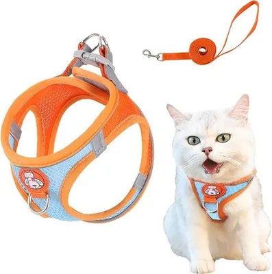 Produktbild von Famanu Katzenharness mit Leine - Sicher und Komfortabel, Mehrfarbig