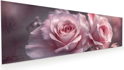 Produktbild von Glasbild 120x40cm in XXL für Wohnzimmer, Schlafzimmer Motiv Romantische Rosen