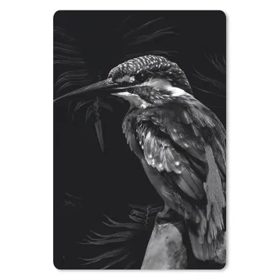 Produktbild von MuchoWow® Mauspad Mousepad Vogel vor schwarzem Hintergrund - schwarz und weiß 18x27 cm - Mousepads - Maus Mat - Pad - Mausunterlage