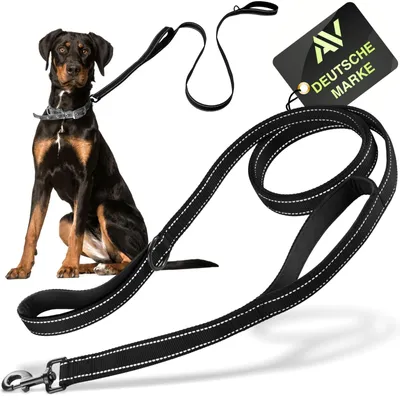 Image de Laisse pour chien - Laisse réfléchissante 1,5 m - Nylon - Noir - 150 x 2,6 cm