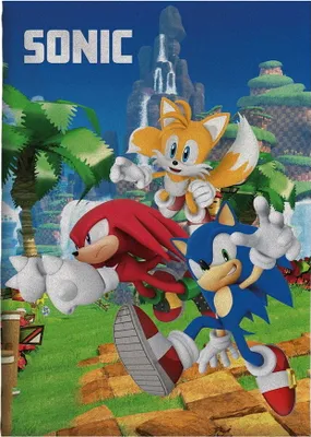 Immagine prodotto di Sonic the Hedgehog Fleecedecke 100x140cm Speedy