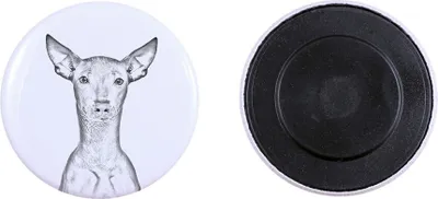 Productafbeelding van Art-Dog Magneet – Peruaanse naakthond