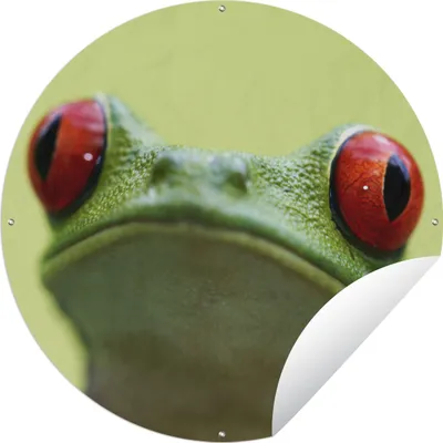 Produktbild von MuchoWow®