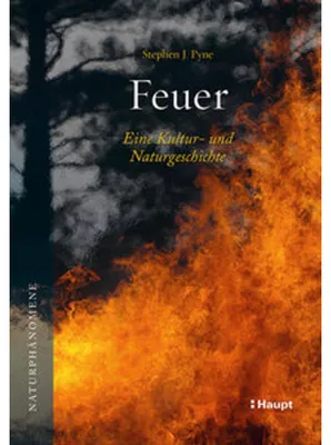 Produktbild von Feuer