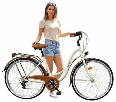 Zdjęcie produktu dla Rower Dallas City 28" 7spd - czarny z brązem