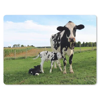 Produktbild von MuchoWow® Mauspad Mousepad Kuh - Kalb - Tiere - Gras 40x30 cm - Mousepads - Maus Mat - Pad - Mausunterlage - Anti Rutsch