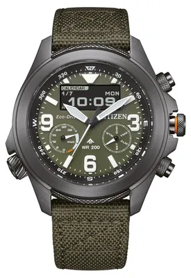 Image de Citizen - JV1005-02W - Montre Bracelet - Hommes - Solaire - Promaster