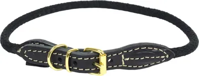 Immagine prodotto di Collare per cani Duvo+ Forest nero, taglia: L