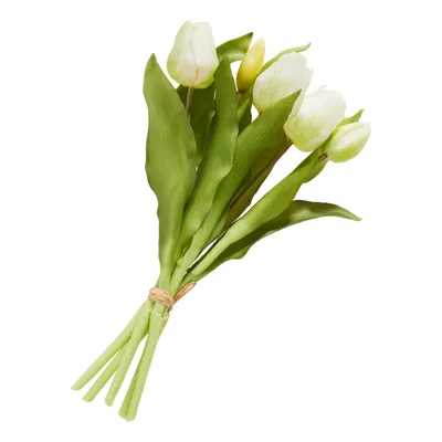 Produktbild von Tulpen Bund mit 3 Blüten und 2 Knospen, L ca. 31 cm Cream