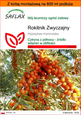 Zdjęcie produktu dla SAFLAX - Garden in the bag - Rokitnik Zwyczajny - 40 Nasiona - Z podłożem uprawowym w praktycznej, samorozkładającej się torbie - Hippophae rhamnoides