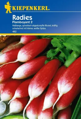 Produktbild von Radieschenchen Flamboyant 2