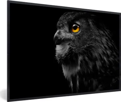 Produktbild von MuchoWow® Gerahmtes Poster Eule - Vogel - Schwarz - Porträt 30x20 cm - Poster mit Schwarzem Bilderrahmen Wandposter Rahmen Foto Bilder - Kunstdruck - Bild-Poster