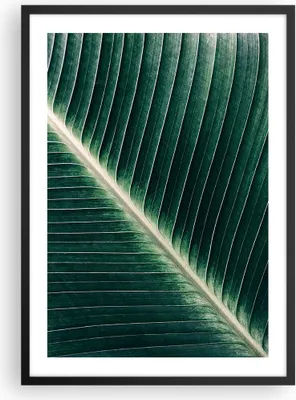 Produktbild von Gerahmtes Poster - Schwarzer Rahmen - Grün Blatt Tropisch - 50x70 cm - Wand Bild - Wanddeko - Wandbilder - Kunstposter - Wandposter - Bilderrahmen - Bilder - Kunstdruck - Wandbild - P2BPA50x70-4126