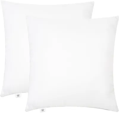 Image de 45 cm x 45 cm (18" x 18"), coussins, garniture en fibres creuses pour canapé, oreillers de literie (lot de 2)