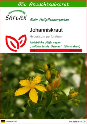 Produktbild von SAFLAX - Johanniskraut - Hypericum perforatum - 300 Samen - Mit keimfreiem Anzuchtsubstrat