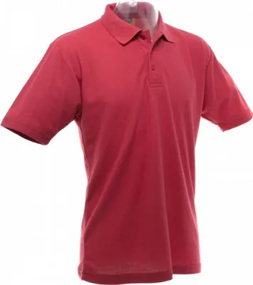 Obrázek produktu pro Pánská polokošile UCC 50/50 pique BC1194 (3XL) (vínová)
