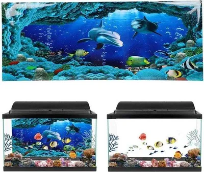 Produktbild von Famanu Hintergrundposter PVC für Aquarien - Unterwasserwelt (61x30cm)