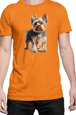 Immagine prodotto di Maglietta da uomo Dogs Breeds Yorkshire Terrier Dog Breed 005, Man 2XL , Orange