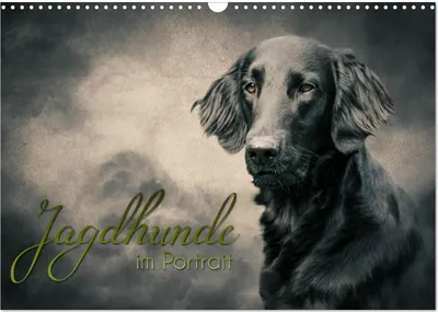 Produktbild von Jagdhunde im Portrait (Wandkalender 2025 DIN A3 quer), CALVENDO Monatskalender