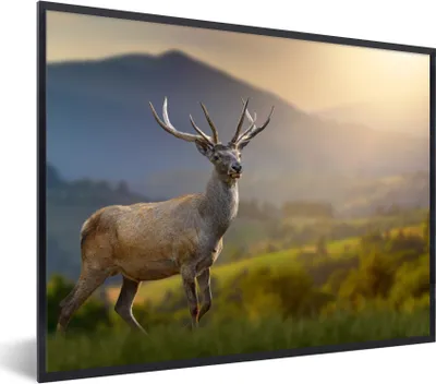 Produktbild von MuchoWow® Gerahmtes Poster Hirsche - Berg - Gras - Sonnenuntergang - Tiere - Natur 80x60 cm - Poster mit Schwarzem Bilderrahmen Wandposter Rahmen Foto Bilder - Schwarzem - Mit Gestell