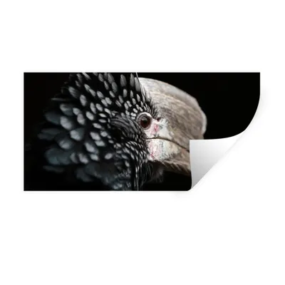 Produktbild von MuchoWow® Wandtattoo Wandsticker Wandaufkleber Vogel - Schnabel - Federn 40x20 cm Selbstklebend und Repositionierbar - Aufkleber
