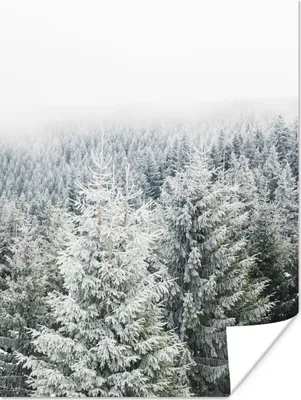 Produktbild von MuchoWow® Poster Wald - Schnee - Winter - Jahreszeiten - Tannenbaum 120x160 cm - Wandbilder