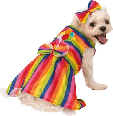 Produktbild von Bristol Novelty - Hundekostüm BN5551 (XL) (Bunt)