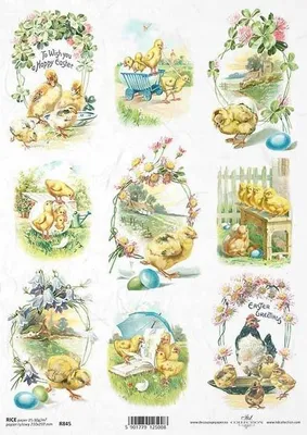 Zdjęcie produktu dla Papier ryżowy do decoupage A4 ITD-R845