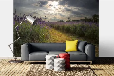 Produktbild von Vlies Fototapete LAVENDELFELD BEI SONNENUNTERGANG 375 x 250 cm (inkl. Kleister) - Vlies Tapete, Wandtapete, Wandbilder - Tapete für Wohnzimmer Schlafzimmer, Büro, Küche - Montagefertig