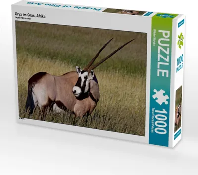 Produktbild von Calvendo Oryx im Gras, Afrika 1000 Teile Puzzle quer 640x480mm, Woyke Wibke; 7408784