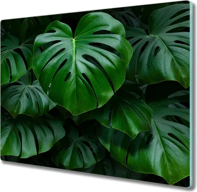 Produktbild von Coloray Herdabdeckplatte 60x52 cm Schneidebrett Kochplattenabdeckung Küchenbrett Hackbrett - Grünpflanzen